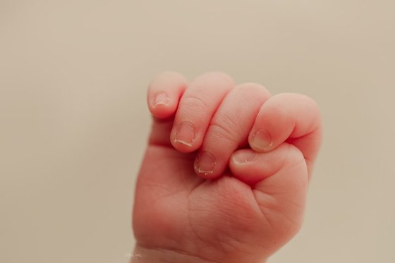 A newborn's tiny curled fingers, photographed at the hospital bedside